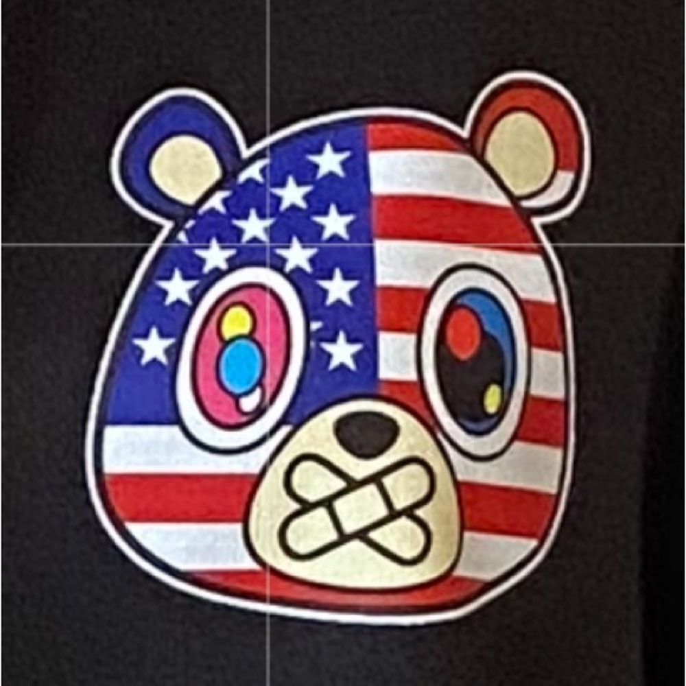 Red/White and Blue Bear Hooded Sweatshirt